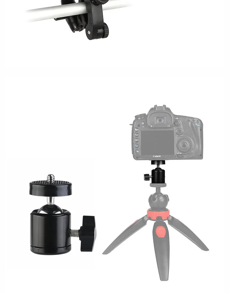 21525095403_1177831017