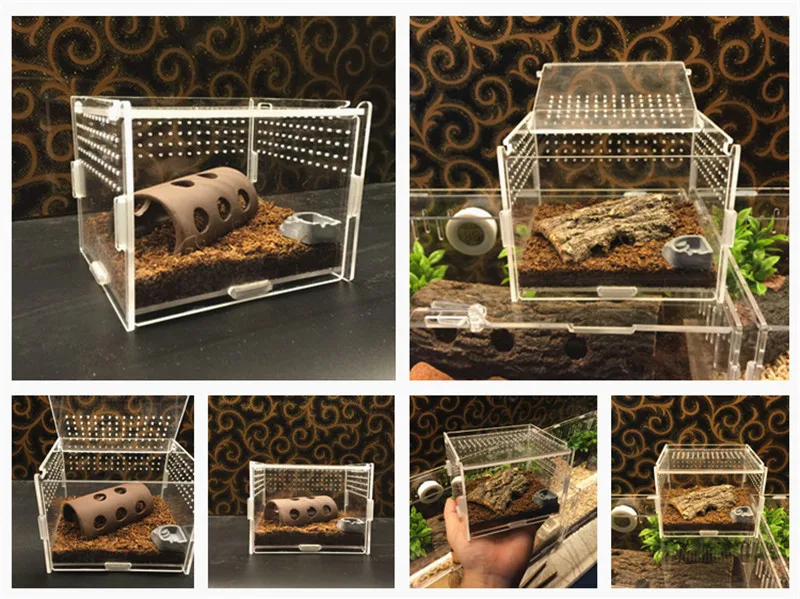 Reptile breeding box (12)