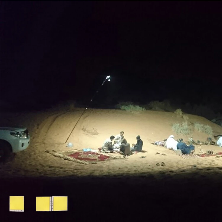 lighted fishing pole