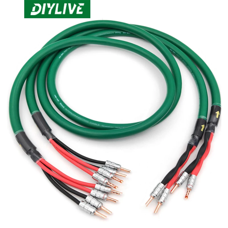 

Динамики DIYLIVE, 4-жильный толстый аудиопровод McIntosh, кабель для динамика, высокий и низкий двухцветный CMC 2-4