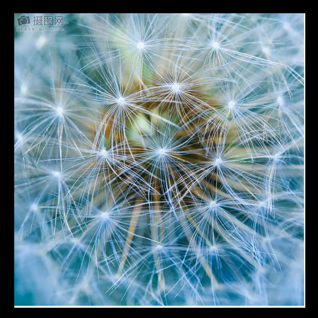 4x Kayak Toggle Carry Pull Handle Cord For Canoe Fishing Boat Rubber Dinghy