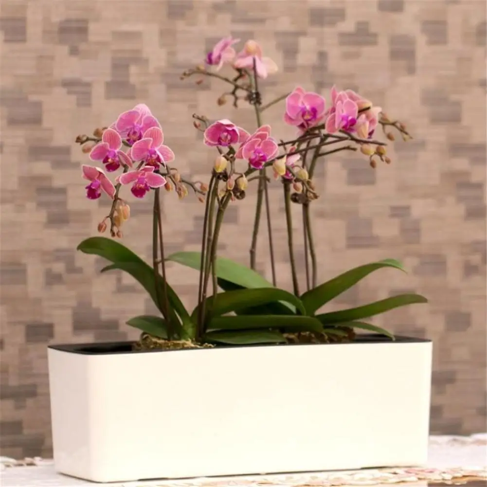 High Quality Automatic Water Absorption Flowerpot Succulent Plant Desktop Potted Green Plant Water Absorption Flowerpot