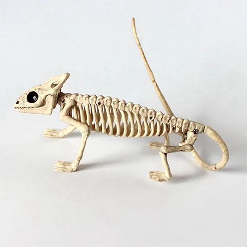 Скелет дракон собака животное пластиковый скелет животного кости ужас Хэллоуин реквизит животное ужас дом вечерние украшения - Цвет: lizard