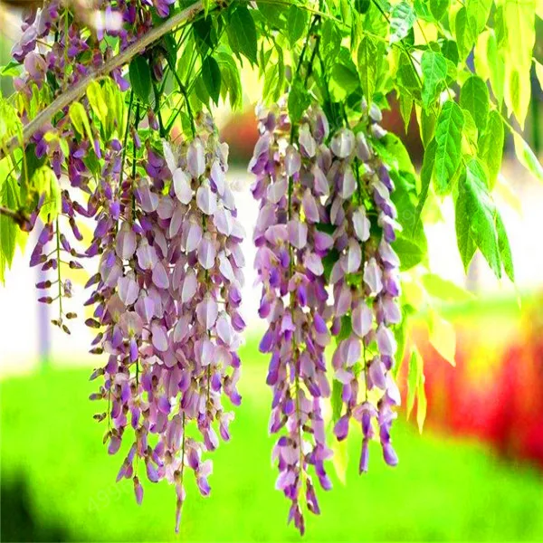 QQ图片20190408144640