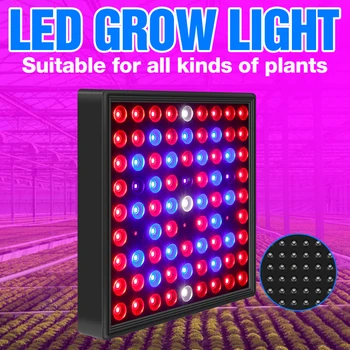

Full Spectrum Grow Lamp LED Phyto Light 30W 50W Plant Lights Hydroponics Flower Seeds Lamp Greenhouse Growing Box EU US UK Plug