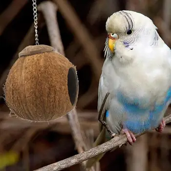 

Natural Coconut Shell Bird Nest House Hut Cage Feeder Pet Parrot with Hanging Lanyard Hanging Toy