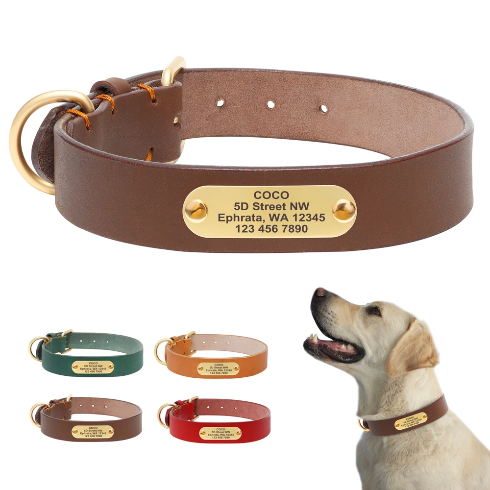 Collier de chien en cuir personnalisé réglable, colliers de chien  personnalisés, petits, moyens et grands chiens, service de gravure gratuit