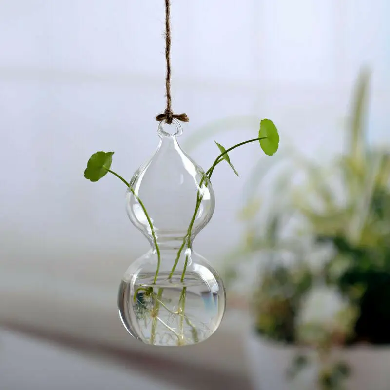 Creative Wall Hanging Flower Vase Iron Glass Hydroponics Planter Pot Transparent Hanging Flower Bottle Home Ornament Decoration