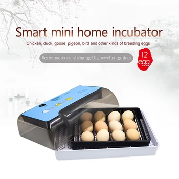 

Eggs BIncubator 12 Eggs Digita Mini Automatie Incubatores Incubators for Hatching Eggs with Automatic Turner