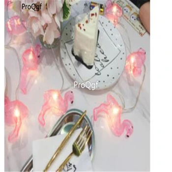 

Prodgf 1Pcs A Set bird style holiday light