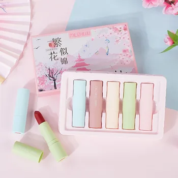 

5Pcs/set Moisturizing Matte Lipstick Waterproof Long Lasting Lipstick Set Women Beauty Makeup Cosmetic Dropship TSLM2