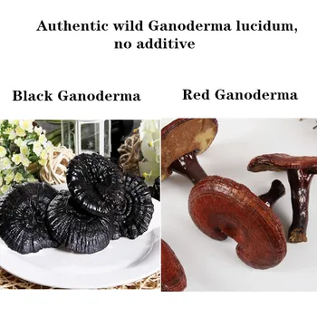 

Wild organic Ganoderma Lucidum Red Ganoderma, Black Ganoderma Herbal Organic Reishi Mushroom Ganoderma lucidum spore powder