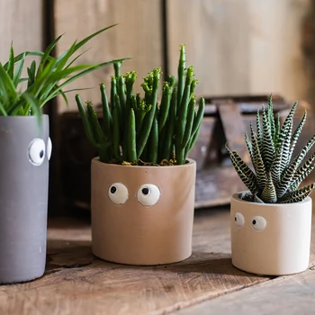 

Cute Eyes Flower Pot Garden Courtyard Round Plant Pots Small Vase Home Decoration Creativity Desktop Mini Flower Potted Plants