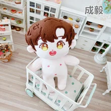 

20cm Chen Yi Doll idol Toy Plush Doll Dress Up Clothing