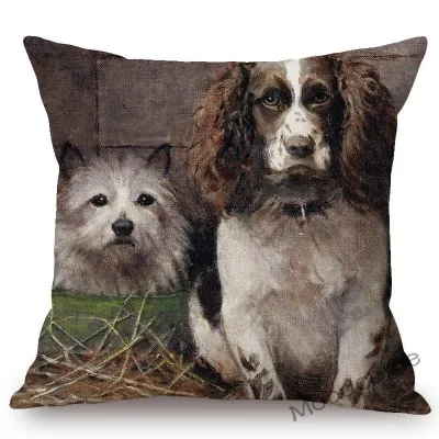 conew_n387 (38) 副本