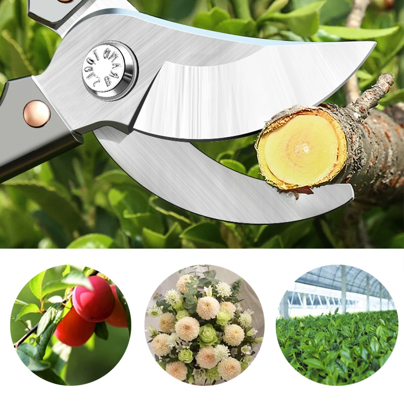 18cm Garden Pruning Shear Grafting ToolFruit Tree Pruning Shears Bonsai Pruners horticulture Stainless Scissor DIY Trimmer Tools