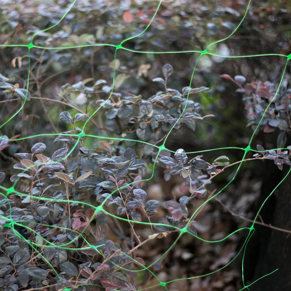 2d6a92cb5313e1cc9733b63ffaa986fb