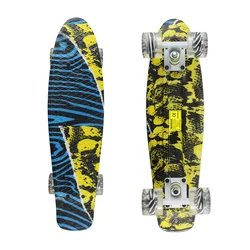 New 2020 22inch Skate Board Mini Skate Skateboard Graphic Serie Retro Fish Long Board Cruiser Longboard Complete Skates Patins