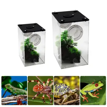 

Reptile Feeding Box Acrylic Transparent Panorama Insect Breeding Box Snake Spider Lizard Scorpion Feeding Box