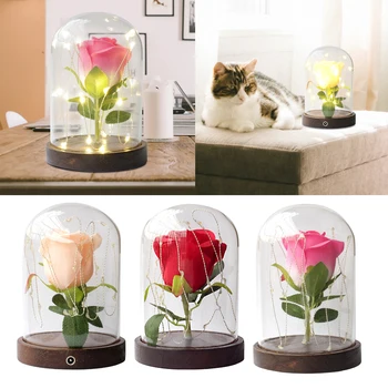

Tabletop Decorative Preserved Rose Flower in Glass Dome with LED Light Romance