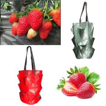 

Strawberry Planting Growing Bag 3 Gallons Multi-mouth Container Bags Grow Planter Pouch Root Bonsai Plant Pot Garden Supplies