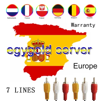 

Best egygold Cline for 1 year Turkey spain Poland cccam europa Service HD Germany Italy used for Gtmedia v8 nova V9 super