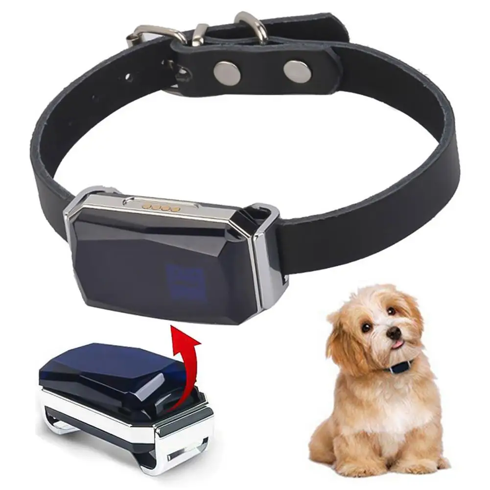 Dog Tracker Cost Of Chipping A Dog Gps Tracklog Dog Gps Chip
