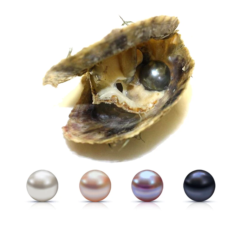 

DMKB0066 6-7/7-8mm Round Pearls Vacuum-Packed Akoya Oyster White Pink Lavender Black Saltwater Pearl Mussel Surprise Gift