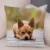 Lovely Pet Animal Pillow Case Decor Cute Little Dog Chihuahua Pillowcase Soft Plush Cushion Cover for Car Sofa Home 45x45cm 53
