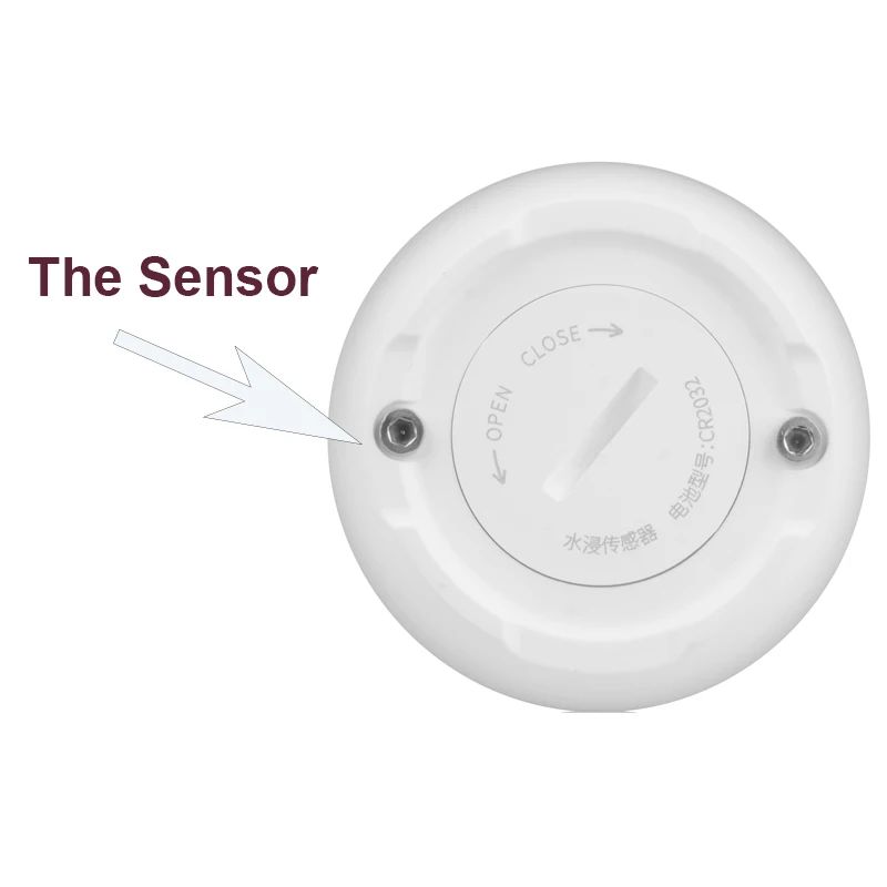 the sensor