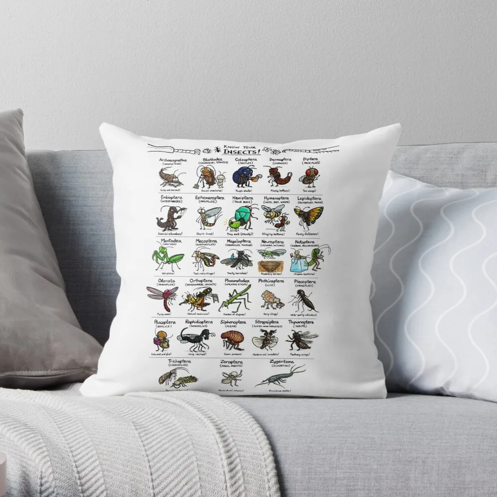 

Illustrated Guide to Insects Throw Pillow Customized Hot Sale Luxury Printing 3D Printing Square Pillowcase Throw Pillow Cover