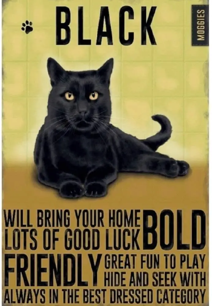

16 X 12 Inch Black Cat Tin Sign Nostalgic Metal Sign Home Decor for Culb Bar Cafe