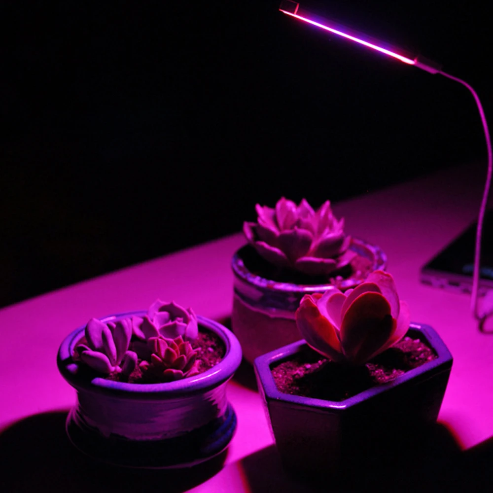 ZHMZH Portable Convenient LED Full Spectrum Phyto Growth Lamp LED Plant Growing Lamp USB Red Blue Hydroponic Grow Light
