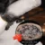 SHARE HO 50:1 Gold Stick Chinese Moxibustion Acupuntura Health Point Heating Therapy Rolls 10 Years Pure Moxa Mugwort 10шт