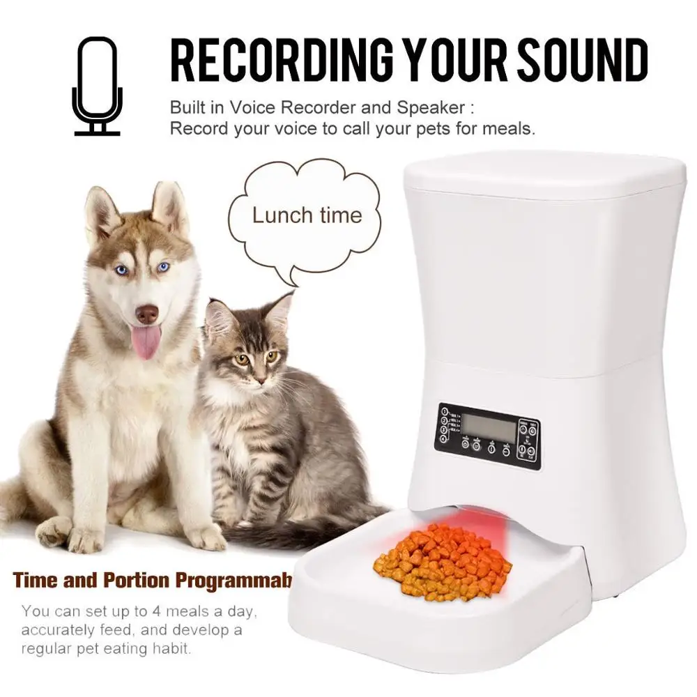 7 day cat feeder