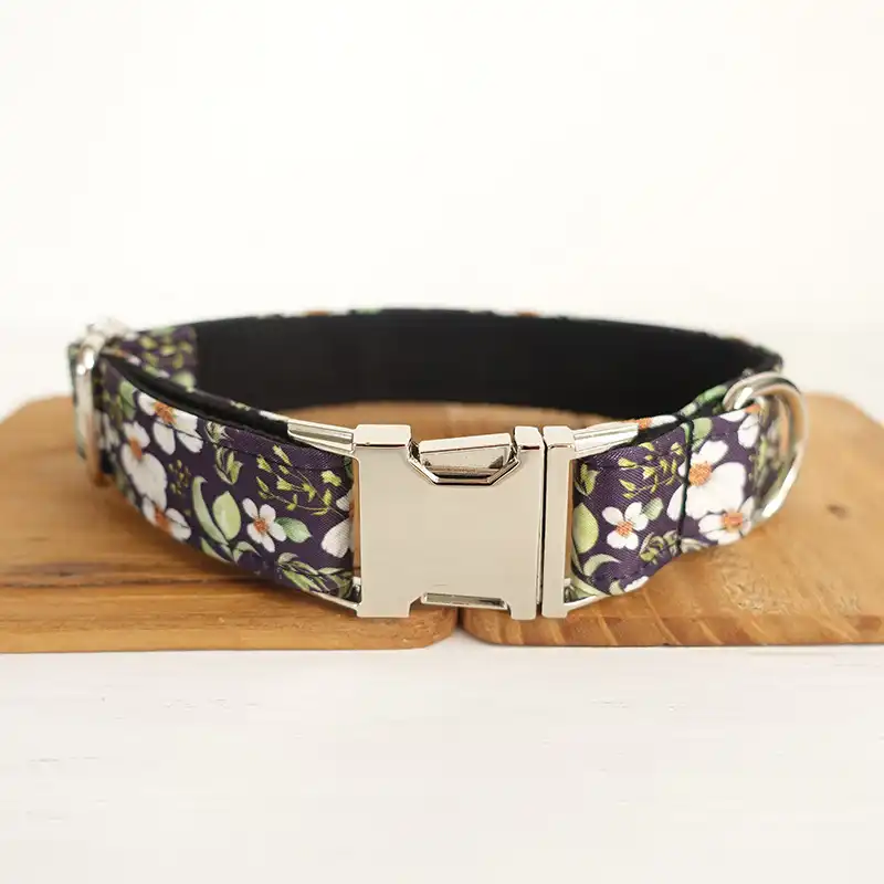 pretty collars