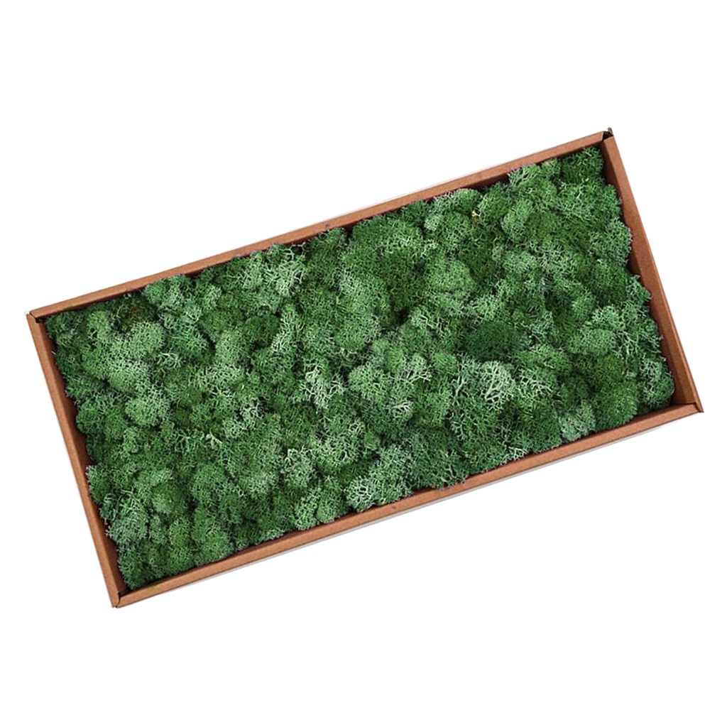 Natural Norwegian Reindeer Moss Preserved Dried Crafts Flower for Flowers Grass Plants Home Garden Garland Wedding Party