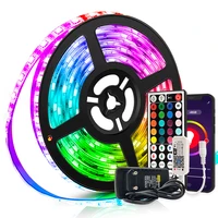 Tira de Luces LED con Bluetooth y Control de voz, cinta Flexible de Luz inteligente RGB 5050, 12V, para decoración de Festival, sala de Fita, Alexa