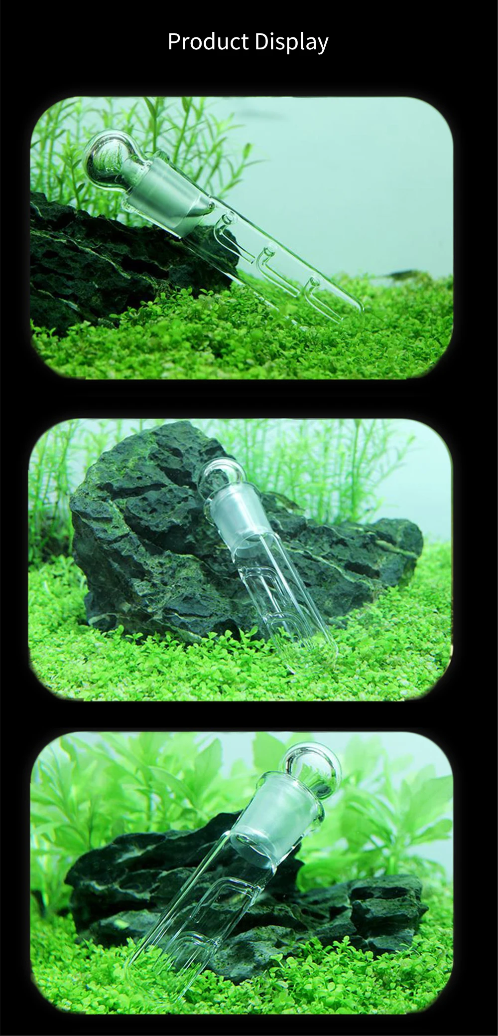 Aquarium Planaria Trap FIsh Tank Clear Glass Catch Trap for Cherry Shrimp Crystal Red Shrimp Dwarf Shrimp Flat Worms Leeches