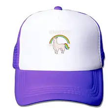 Сетчатая Кепка на заказ бейсболка Llama единорог Радуга регулируемая бейсболка s