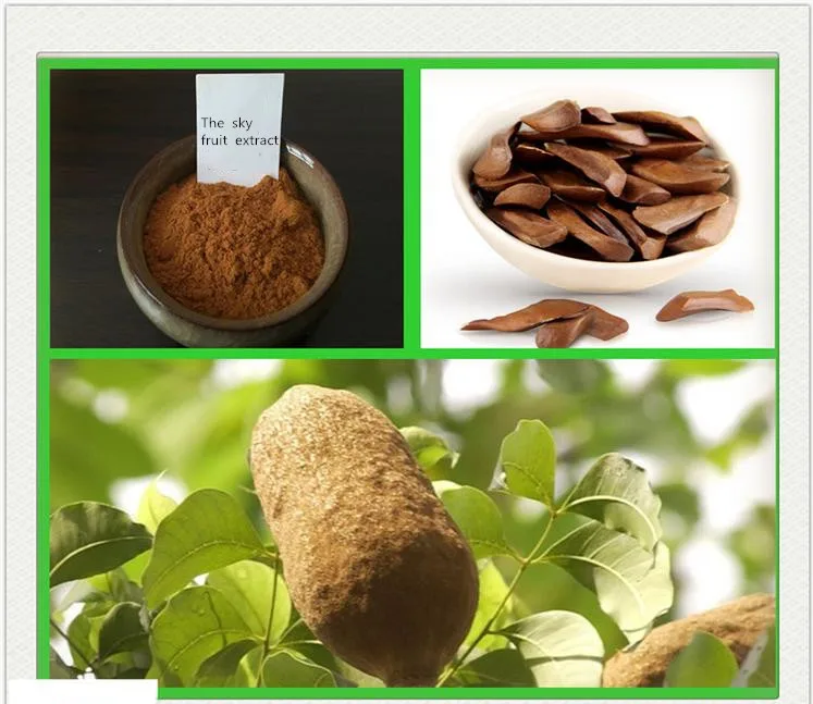 

The sky fruit extract 20:1
