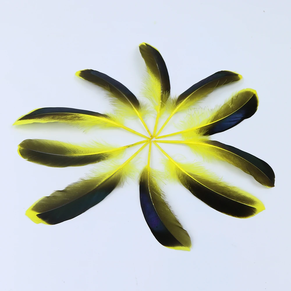 5 yellow duck feather 1