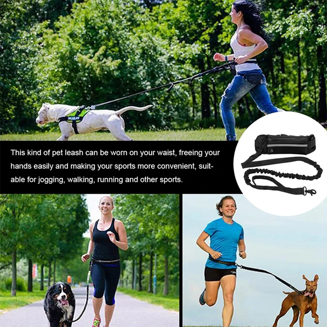 Corde de Traction r tractable pour chien mains libres laisse avec sac de taille ceinture lastique