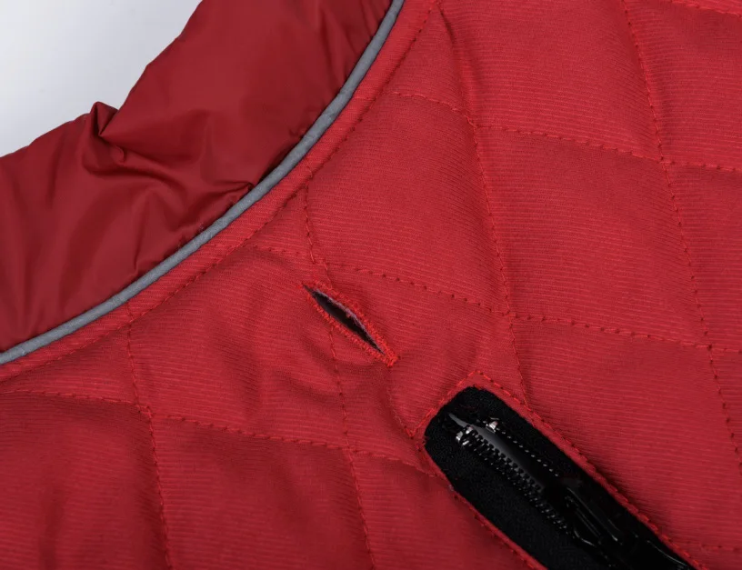 10955675779_1954311762