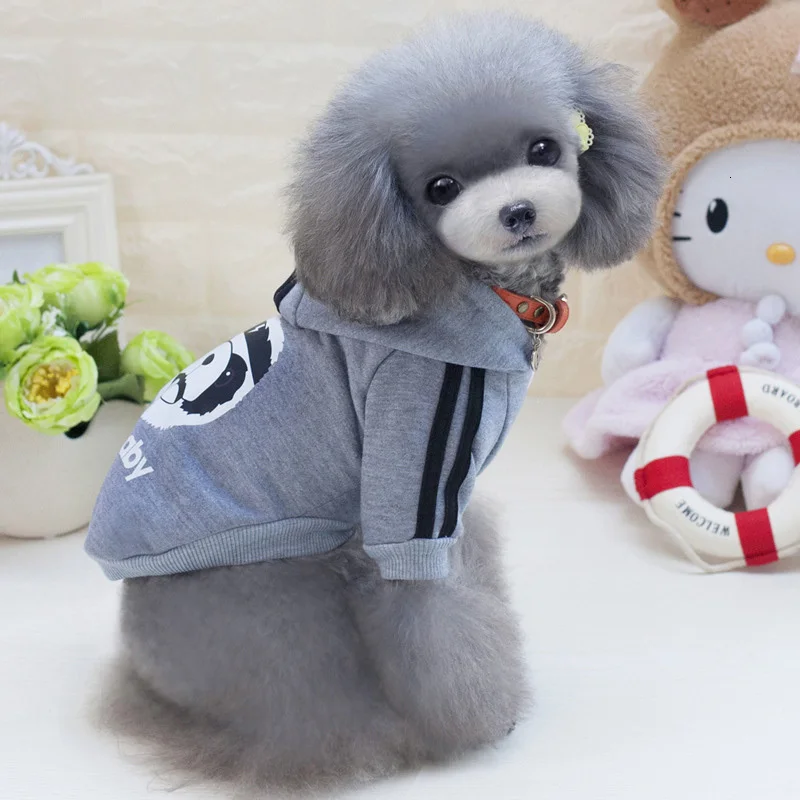 3886785131_277183843