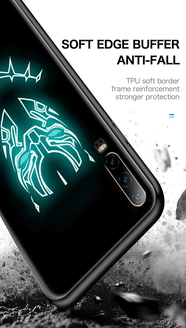 描述图(10)