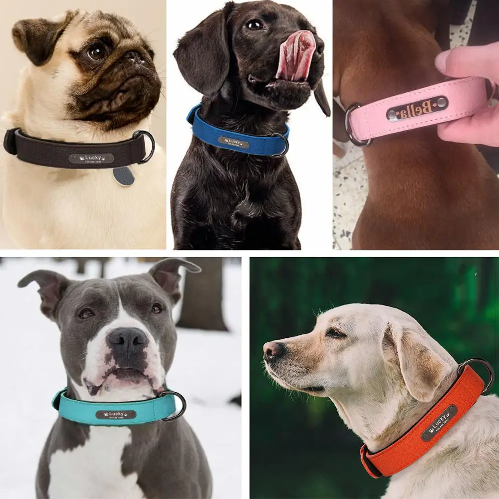 Leather Dog Collar Personalized for Small Large Dogs Big Luxury Dog Collars Name Engraved Small Collar Leather 101 dog collar