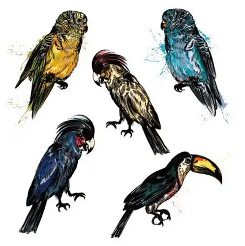 parrot temporary tattoo sticker waterproof watercolor cartoon girls boys kids children body art 10x10cm tattoo sticker waterproof temporary tattoo stickertemporary tattoo sticker aliexpress parrot temporary tattoo sticker waterproof watercolor cartoon girls boys kids children body art 10x10cm