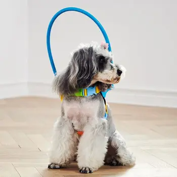 

Blind Dogs Pet Safe Harness Anti-collision Ring Pets Weak Color Guide Circle Animal Protection Collar Rings R7RC