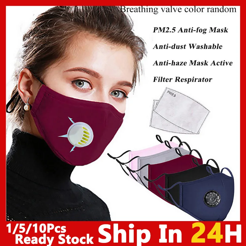 

PM2.5 Mouth Mask Anti-dust Mask Reusable Mask with Breathing Valve KN95 Masks Washable Mouth N95 Face Masks Filter Pad